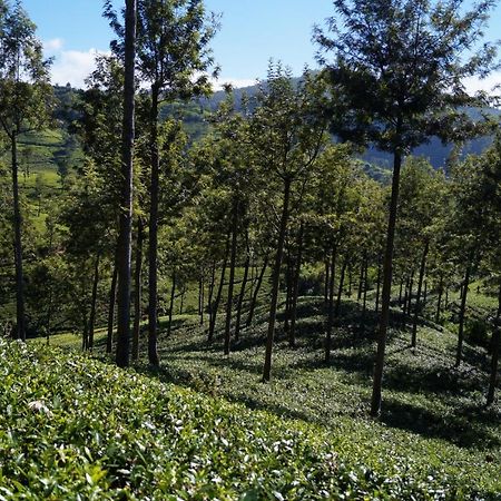 Oyo 238 Selva'S Guest House นูวาราเอลิยา ภายนอก รูปภาพ