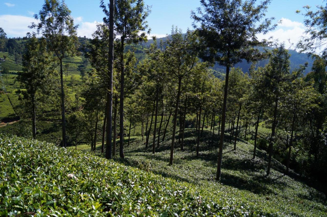 Oyo 238 Selva'S Guest House นูวาราเอลิยา ภายนอก รูปภาพ